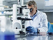 Ученые Новосибирска первыми в России научились выявлять рак по капле крови