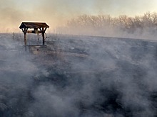К акции по закаливанию присоединилась вся страна