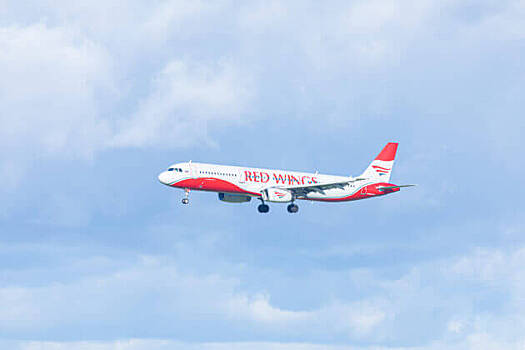 Red Wings выйдет на рынок грузоперевозок