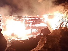 Восемь человек погибли на пожарах в Нижегородской области за неделю