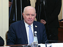 Сенатор Карасин: Отношения РФ с Ближним Востоком помогают построить многополярный мир