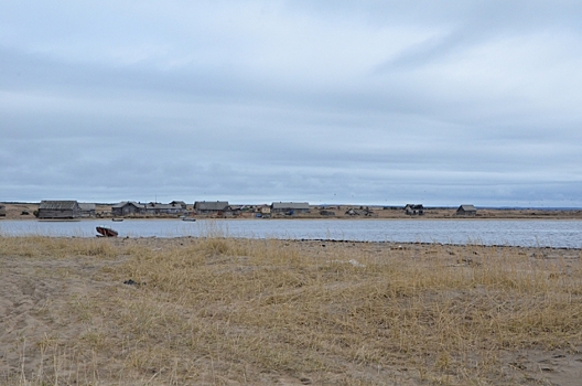 В Мурманской области на арктический гектар претендуют почти 500 заявителей