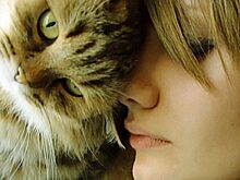 Правда ли, что кошки могут лечить