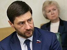 Сенатор Синицын предложил давать время на передачу бизнеса не только ИП