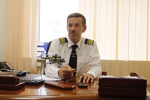 Волонтёры просят курян приютить котов из Глушково