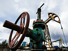 МИД Польши пытается наложить санкции на российский нефтепровод «Дружба»