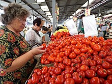 Мясо в обмен на овощи. Ткачев рассказал о будущем турецких помидоров