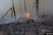 Координатор группы мониторинга: в регионах нет денег для тушения лесных пожаров