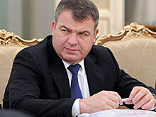 Сердюкову подобрали новую должность