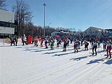 В Самарской области завершились соревнования по лыжным гонкам на призы спортшколы "Чайка"