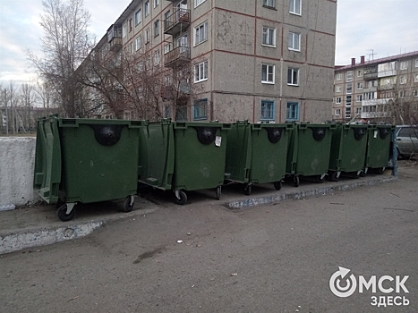В Омске стало меньше мусорных контейнеров