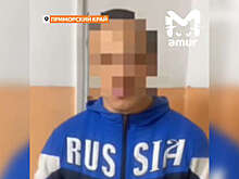 Mash: школьник отправил в больницу водителя автобуса в Приморье