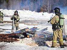 Спасатели отработали в Удмуртии действия по ликвидации природных пожаров