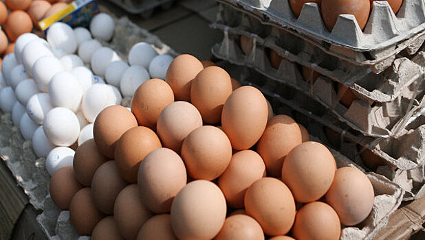 Яйца с фипронилом во Франции были импортированными