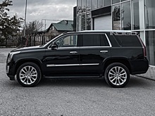 В автопарке полиции Чечни появились Cadillac Escalade за 10 млн рублей