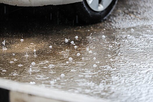 В четверг в Подмосковье ожидается дождь и +7 градусов