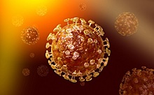 Еще 12 человек за сутки скончались от коронавируса на Дону