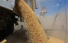 В России высказались о будущем зерновой сделки