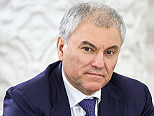 Володин призвал учитывать трудоустройство выпускников при оценке вузов