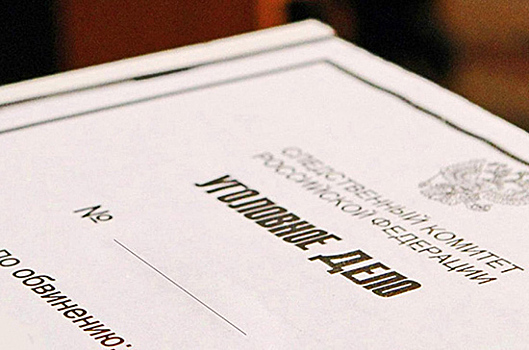 СК открыл уголовное дело против главы управления лесами на Алтае