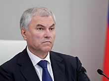 Володин предложил доработать законопроект о выплатах матерям-героиням
