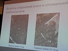 Вопрос применения фосфогипса в условиях вечной мерзлоты обсудили в Якутии