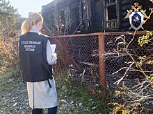 В Нижегородской области мужчина облил сестру бензином и поджег