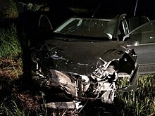 В ДТП под Кореновском пострадала компания молодых людей