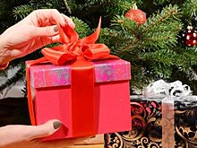 Милонов предложил давать малоимущим семьям новогодний набор