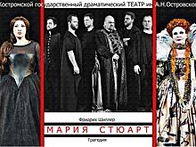 Стало известно, какие спектакли покажут в костромском драматическом театре