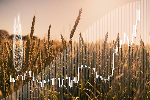 Банк России: Механизм биржевых торгов сельхозпродукцией может заработать в 2023 году