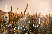 Банк России: Механизм биржевых торгов сельхозпродукцией может заработать в 2023 году