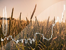 Банк России: Механизм биржевых торгов сельхозпродукцией может заработать в 2023 году