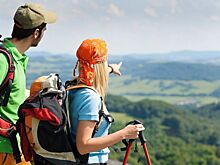 Названы самые популярные направления в период действия туристического кешбэка