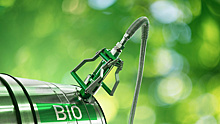 Власти ОАЭ рассказали о перспективах Национальной политики в области биотоплива