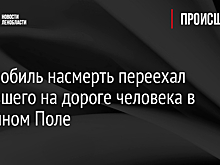 Автомобиль насмерть переехал лежавшего на дороге человека в Лодейном Поле
