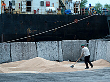 Украинские аграрии сокращают посевы из-за прекращения зерновой сделки