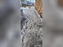 Читинцы жалуются на скользкие улицы в городе