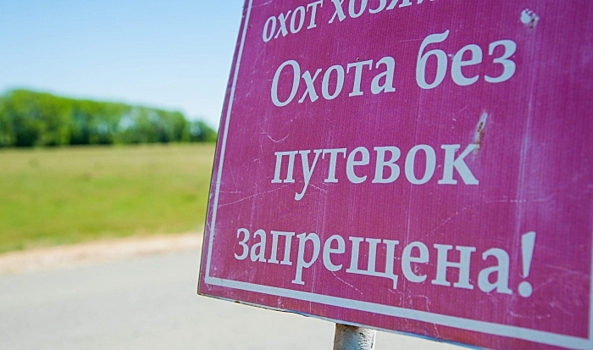 Жителям Волгоградской области грозит срок за незаконную добычу косули