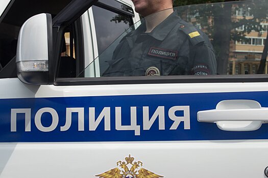 В Москве хулиган нанес травмы сотруднику полиции
