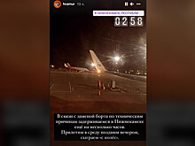 Самолет с командой КХЛ "Амур" совершил экстренную посадку в Нижнекамске