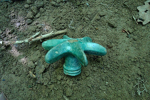 В Польше нашли таинственный 3000-летний "пропеллер"