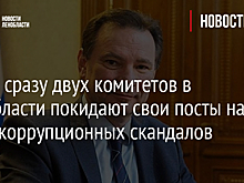 Главы сразу двух комитетов в Ленобласти покидают свои посты на фоне коррупционных скандалов