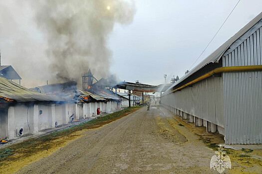В&nbsp;Татарстане загорелся зерносклад на&nbsp;площади 500 квадратных метров
