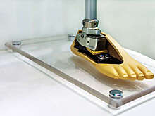 В конгресс США внесли проект о запрете экспорта лекарств и протезов в Россию