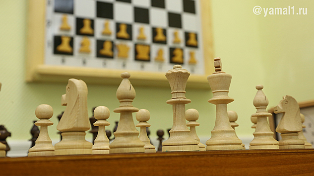 В Ноябрьске пройдут Всероссийские соревнования по шахматам для детей. ВИДЕО