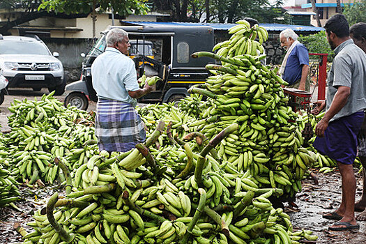 Посол: Индия изучает возможности расширения поставок в Россию лекарств и электроники