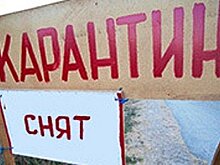 На территории Слободского района отменили карантин по бешенству