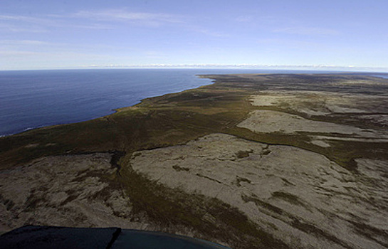 Заповедный архипелаг: путешествие в царство непуганых зверей Камчатки