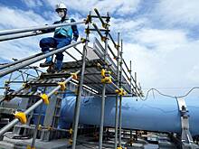 Оценена радиоактивность рыбы в России после утечки на «Фукусиме-1»